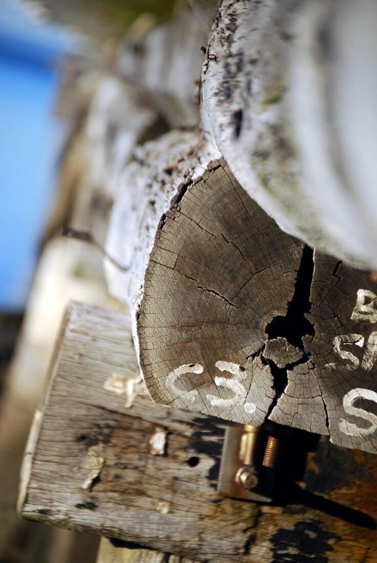 gc93097fce87a3d84b3fefce26350b43d6e4c6dc5c905ad1e0f83edd2d94b54613d4bbf0bca4c156e5677b27926bdadb1 1280