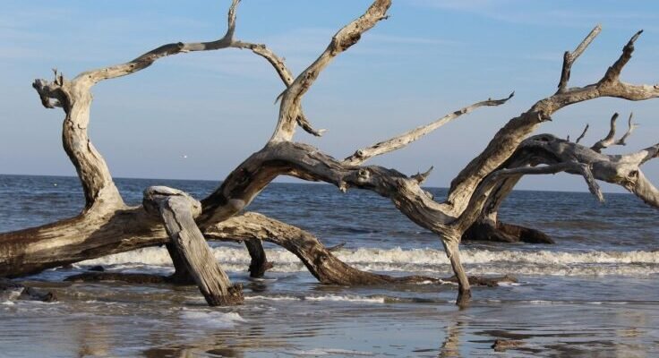 gd65068313733ba10261fce9212767a6b1fb43065922be8b9dcf87511de9b8e164b1c69763f0fde74906fae3e80e5b56cb92a74c6f940c106cd8640cfe2b33a5d 1280