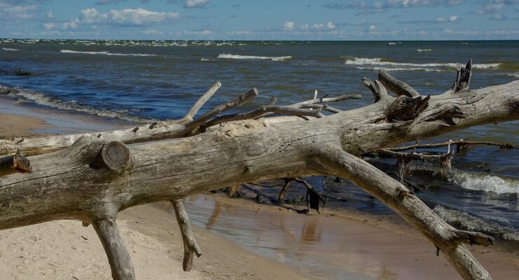 g82d6fea09c9ddcaed41a90ac0e99edde1aef2cb6a0a22fb749668bf5b50ccb37fd7a3bf42d837490792930057e85a323adeec7e13ed26067403ce05f032deebe 1280