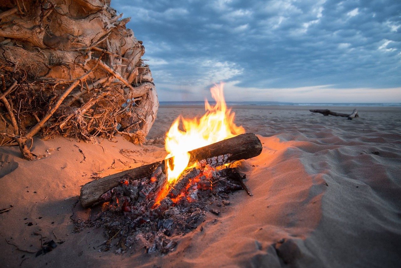 latvia, cap kolka, driftwood, sea, nature, beach