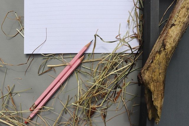 nature, desktop background, outdoors, wood, old, hay, to write, pencils, pink, paper, driftwood