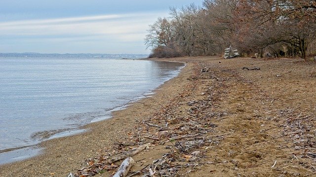 riverbank, beach, chiemsee, flotsam, flotsam and jetsam, sand, branches, driftwood, wood, coast, nature, mood