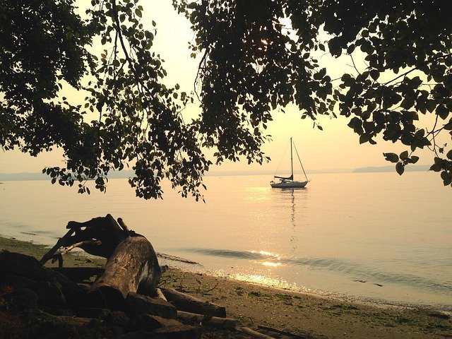 pacific northwest, driftwood, nature, sailboat, puget sound, water