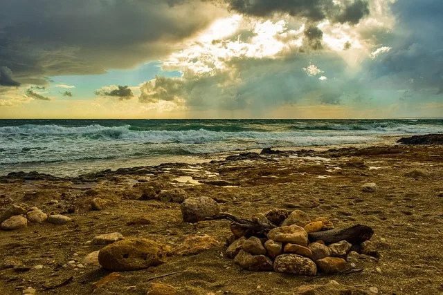 beach, coast, stones, shore, sea, sky, clouds, driftwood, autumn mood, ayia napa, cyprus, landscape, nature, beach, driftwood, driftwood, driftwood, driftwood, driftwood