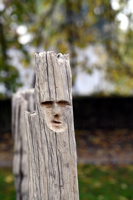 driftwood, wooden sculpture, faces of the war exhibition