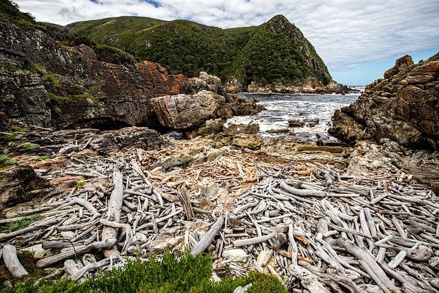 conversation, girl, riverbank, lake, waters, driftwood, nature, see, watch, alone