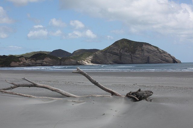 wharariki beach, nature, new zealand, south island, beach, sand, sea, driftwood