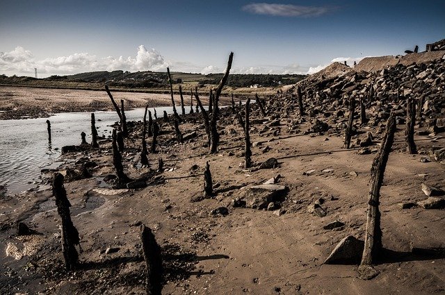 shore, wood, water, beach, sky, coast, landscape, outdoor, scenery, nature, driftwood