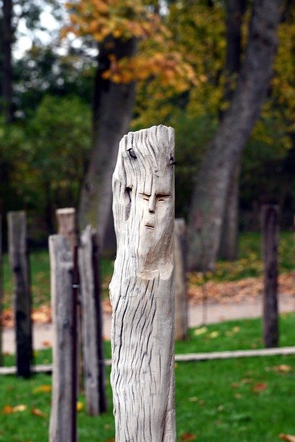 driftwood, wooden sculpture, wood, nature, faces of war, exhibition