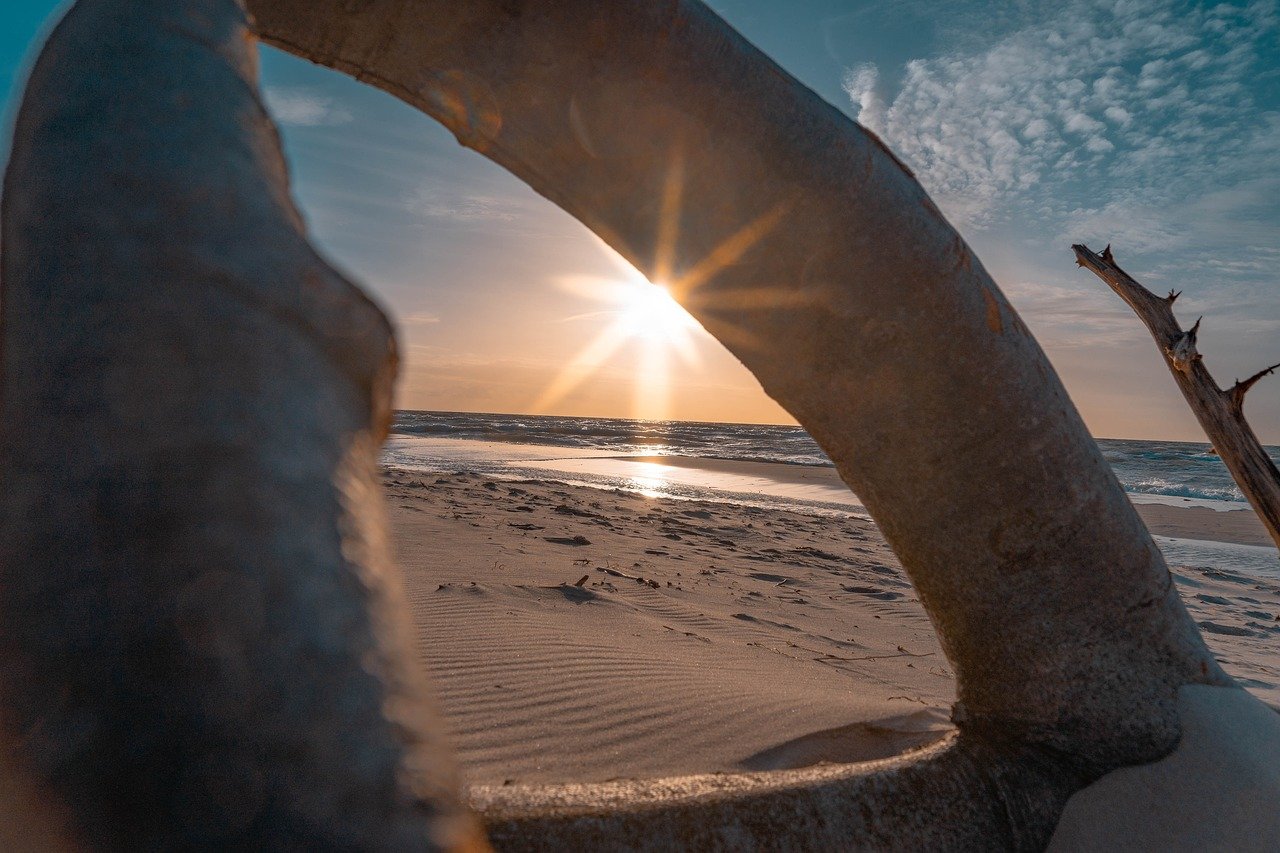 driftwood, nature, wood, beautiful wallpaper, beach, background