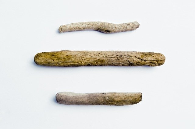 three pieces of driftwood, driftwood, wood, three, texture, natural, weathered, nature, beach, worn, rounded, erosion, driftwood, driftwood, driftwood, driftwood, driftwood