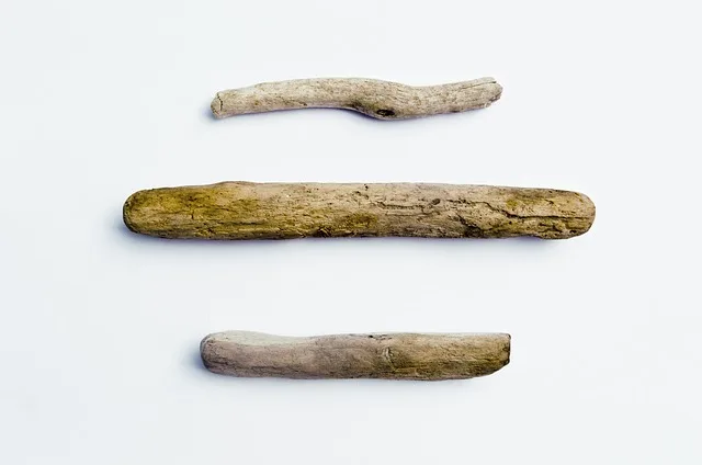 three pieces of driftwood, driftwood, wood, three, texture, natural, weathered, nature, beach, worn, rounded, erosion, driftwood, driftwood, driftwood, driftwood, driftwood