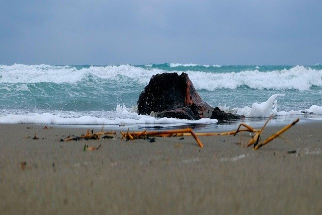 sea, nature, ocean, water, stormy, beach, driftwood