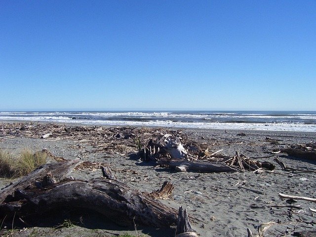 driftwood, flotsam, beach, water, sand, sandy beach, nature, branch, floor