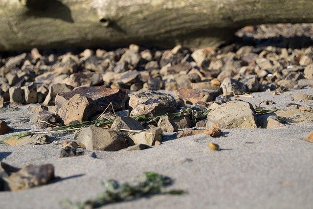 rocks, sand, beach, landscape, driftwood, america, nature, river rock