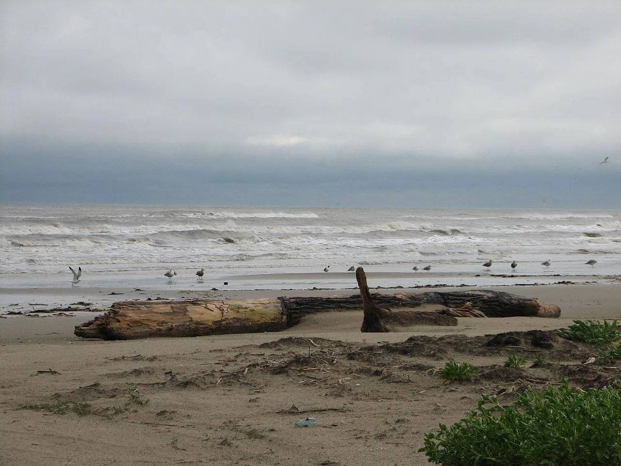 beach, nature, sand, sea, driftwood, drift, wood, ghost, ship, boat