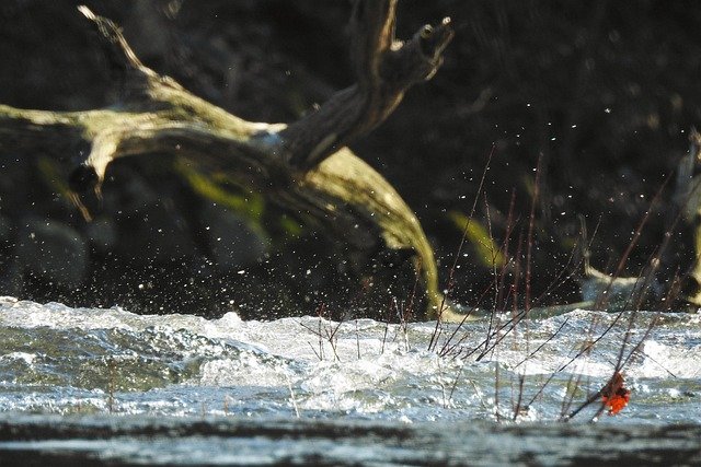 river, flow, waves, stream, rapids, driftwood, branch, nature, water, swirl, splash