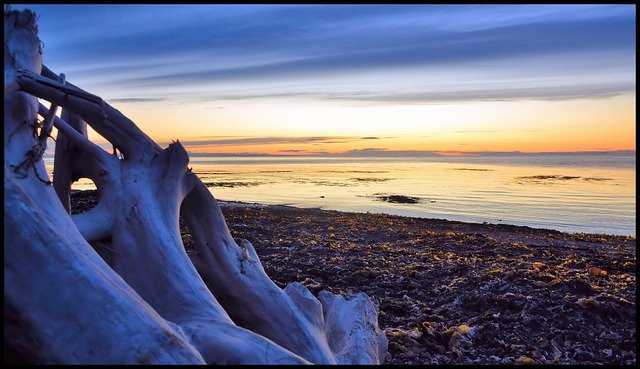 beach, water, ocean, nature, sand, sunset, driftwood, wood, blue wood, blue sand