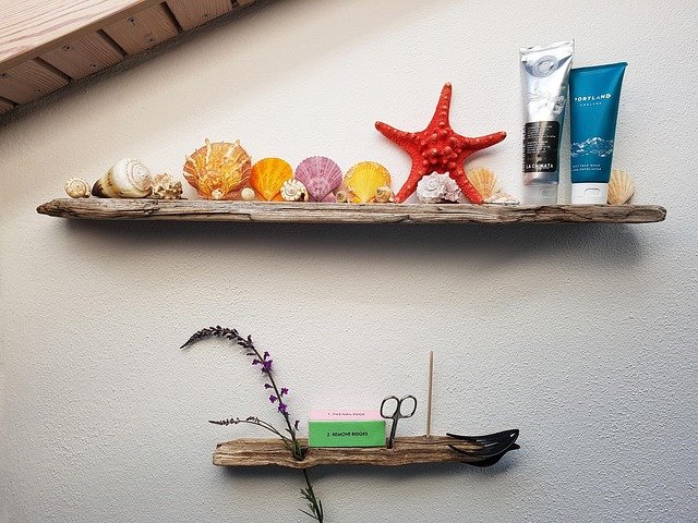 bath, shelf, driftwood, shellfish, snails, deco, scissors, sloping roof, tube, cosmetics, nail scissors, shelf, shelf, shelf, shelf, shelf, driftwood, cosmetics