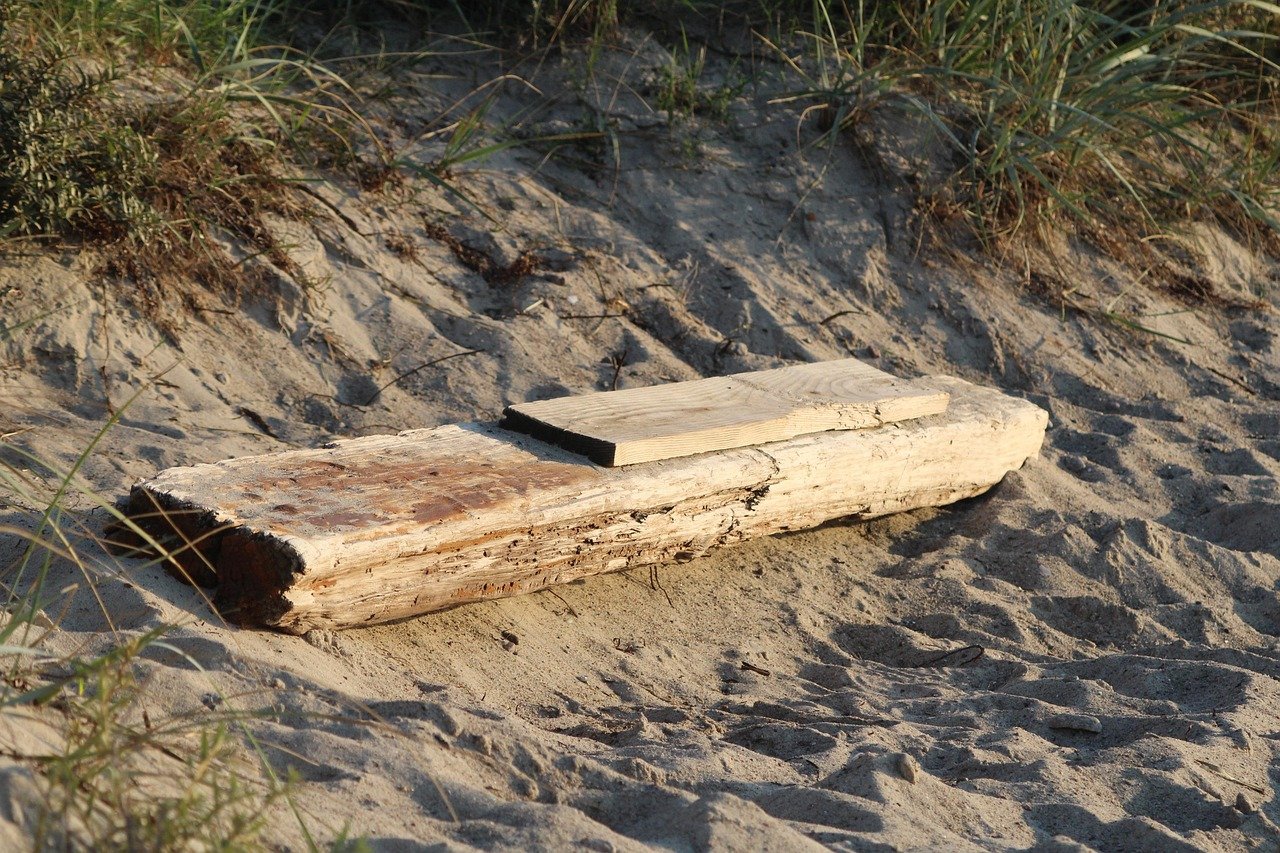 beach, driftwood, sand, coast, shore, lake, lake erie, wood, nature, scenery, scenic, long-exposure, tranquil, quiet, peaceful, solitude, cloudy, ontario, canada, driftwood, driftwood, driftwood, driftwood, driftwood, lake erie, lake erie, lake erie, lake erie, lake erie