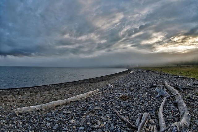 fax the lake, morning, dense fog, driftwood, mongolia, driftwood, driftwood, driftwood, driftwood, driftwood, mongolia