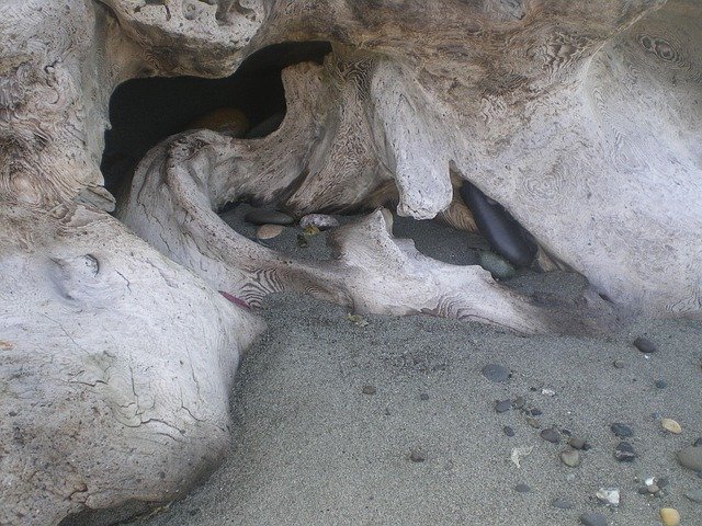 beach, sand, sea, driftwood, drift, nature, wood, rocks, gray sand